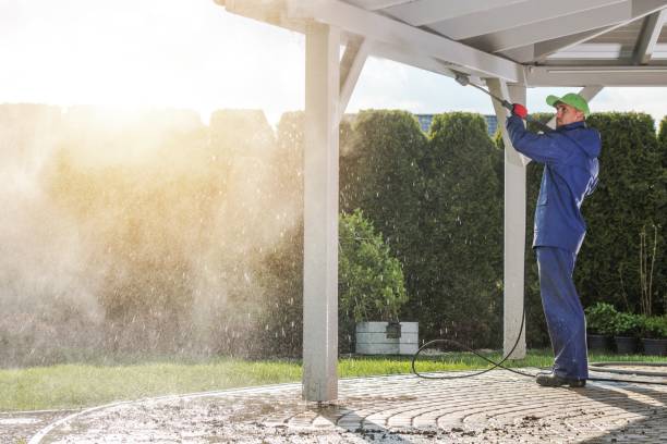 Trusted Ouray, CO  Pressure Washing Services Experts