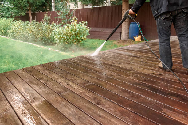 Best Boat and Dock Cleaning  in Ouray, CO