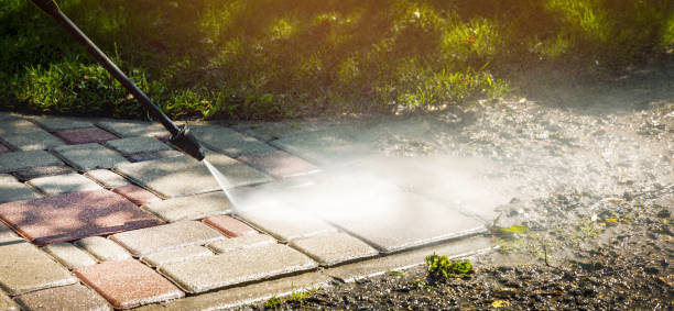 Best Roof Washing  in Ouray, CO